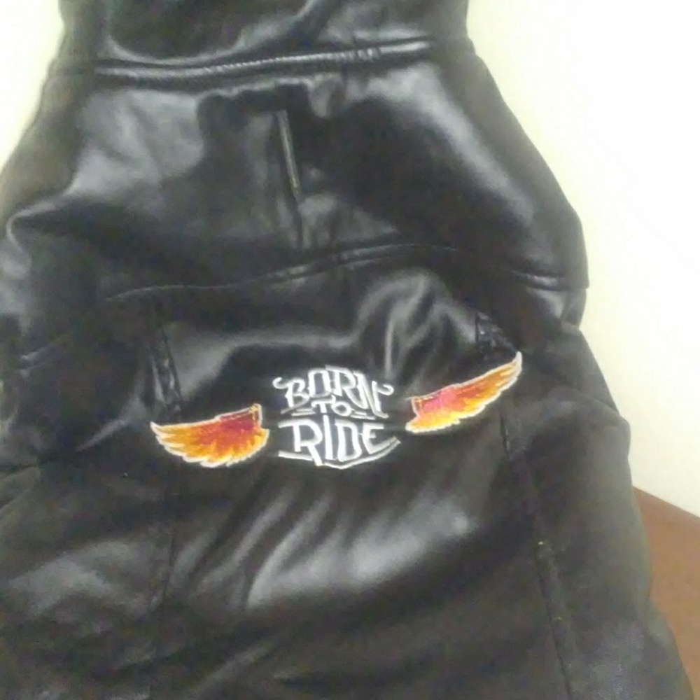 "Born To Ride"-- Medium Dog Coat - Picture 2 of 5